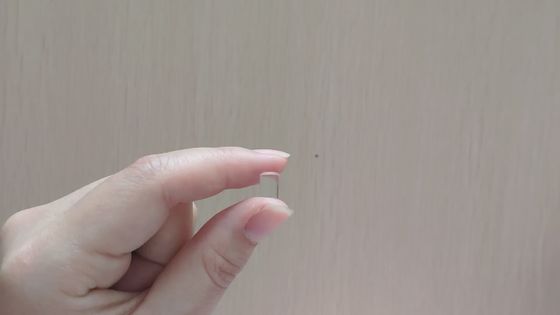 Optical JGS1 fused silica quartz glass rod optics endoscope lens